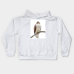 Red-tailed Hawk - Perched Kids Hoodie